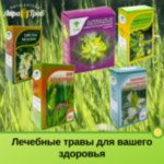 Лечебные травы: купить в Москве целебные дары природы